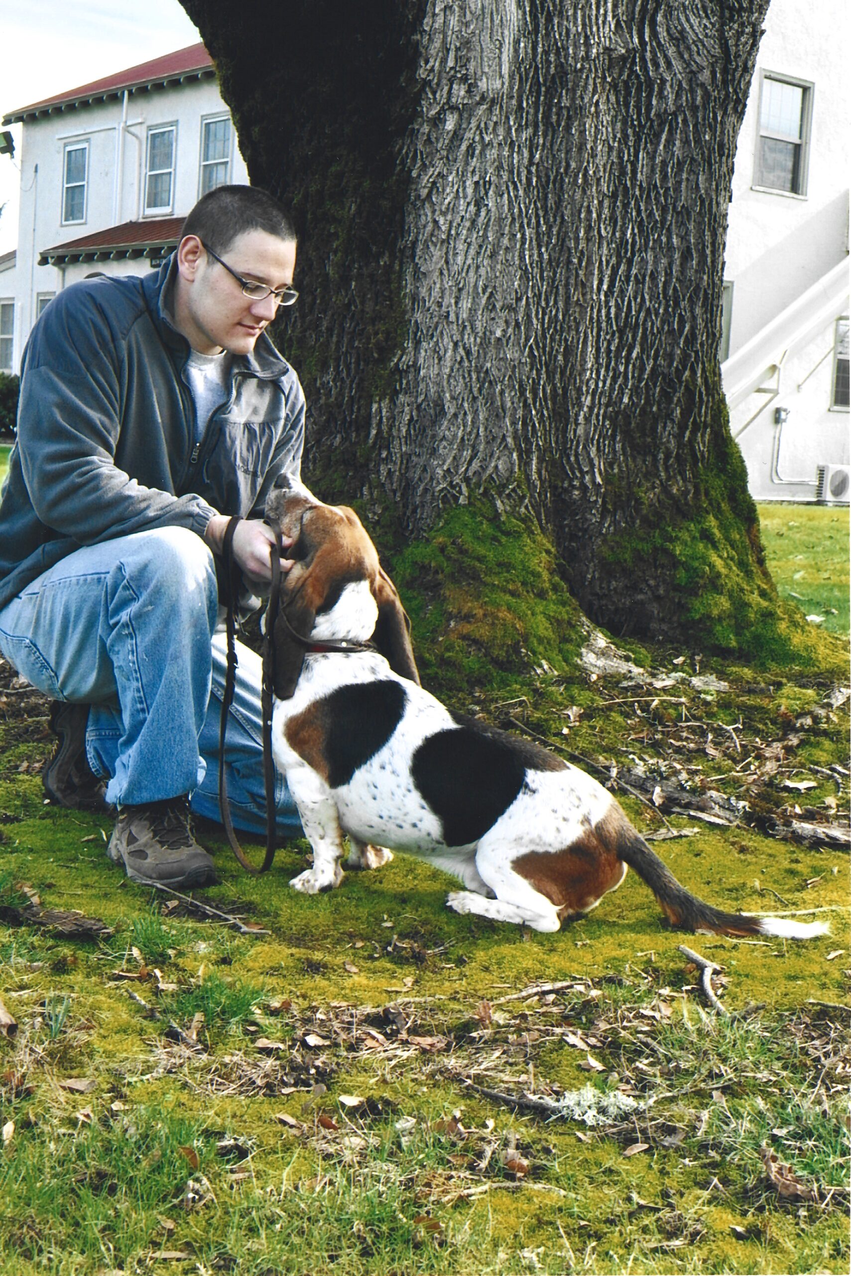 A boy kneeling down and giving a basset hound a treat.